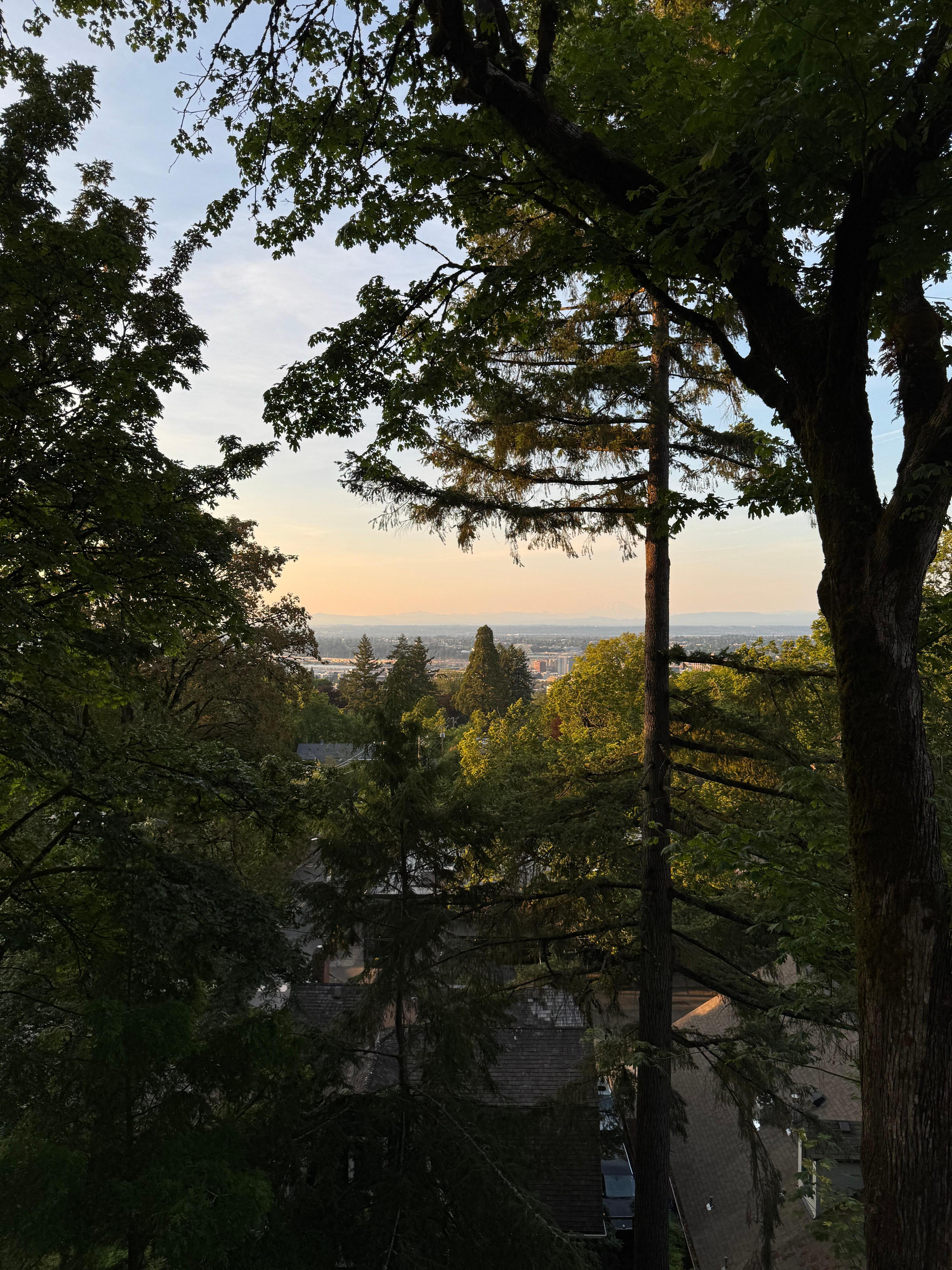 View from deck