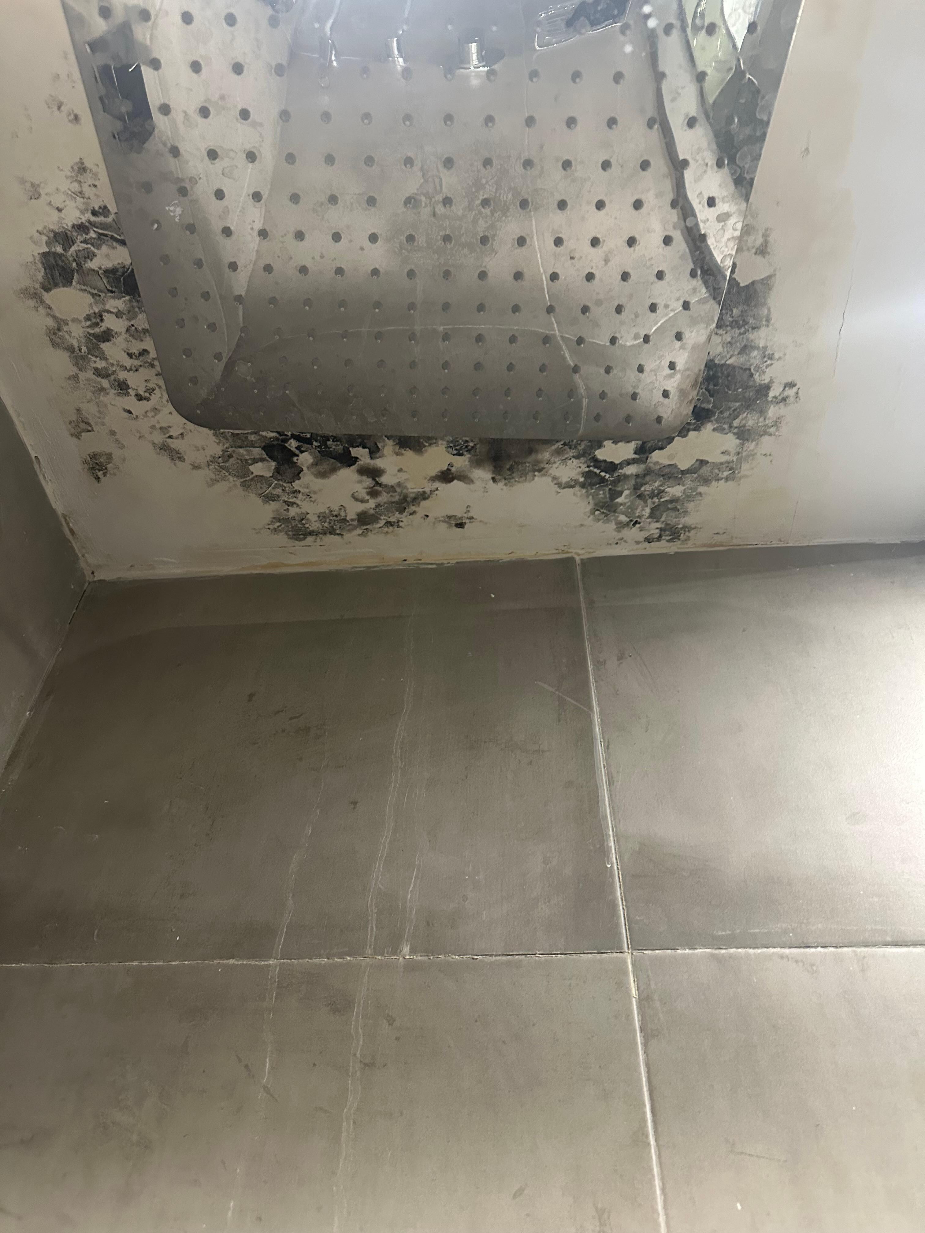 Mold on the shower ceiling 