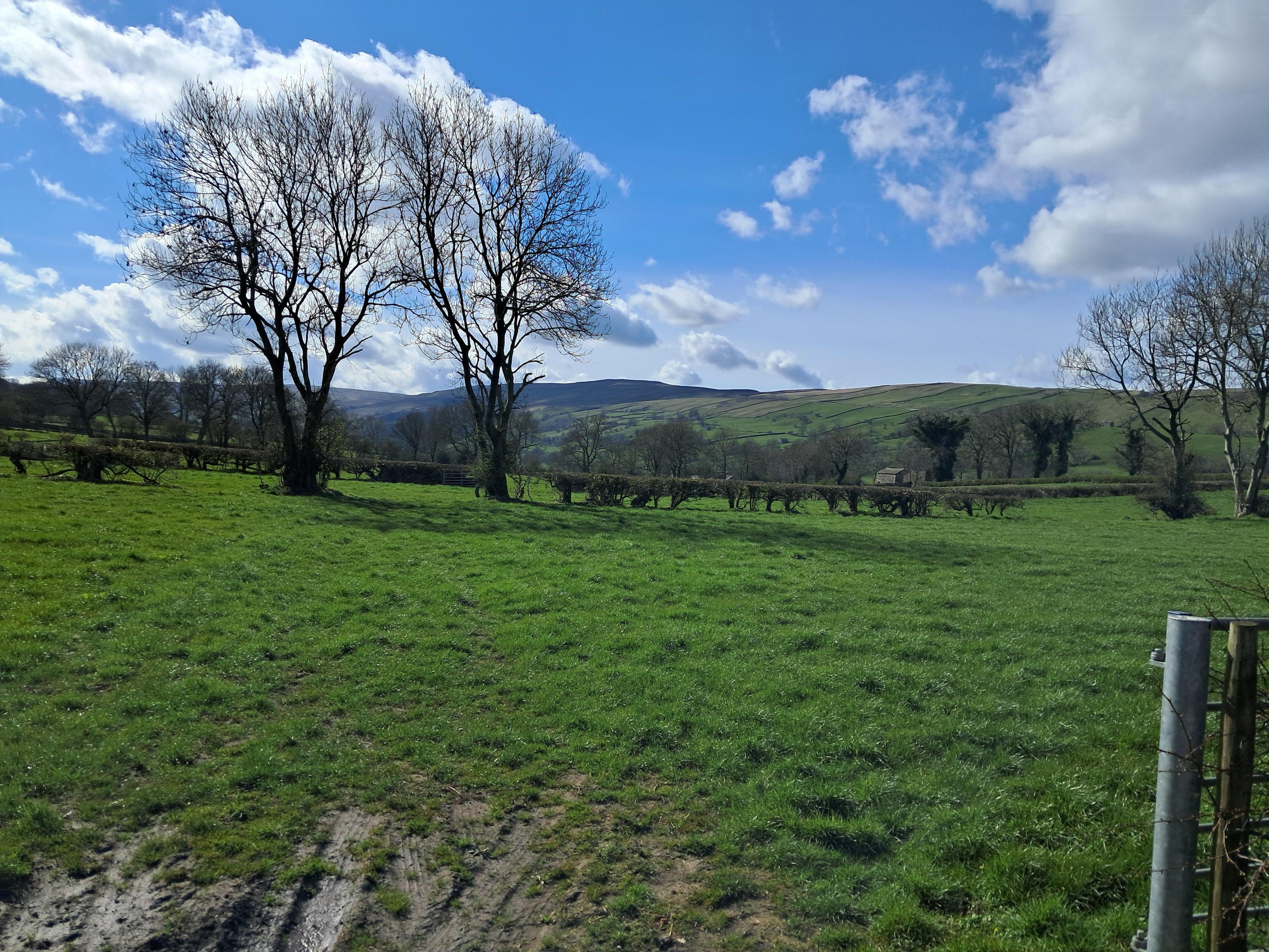 On the way to the pub!