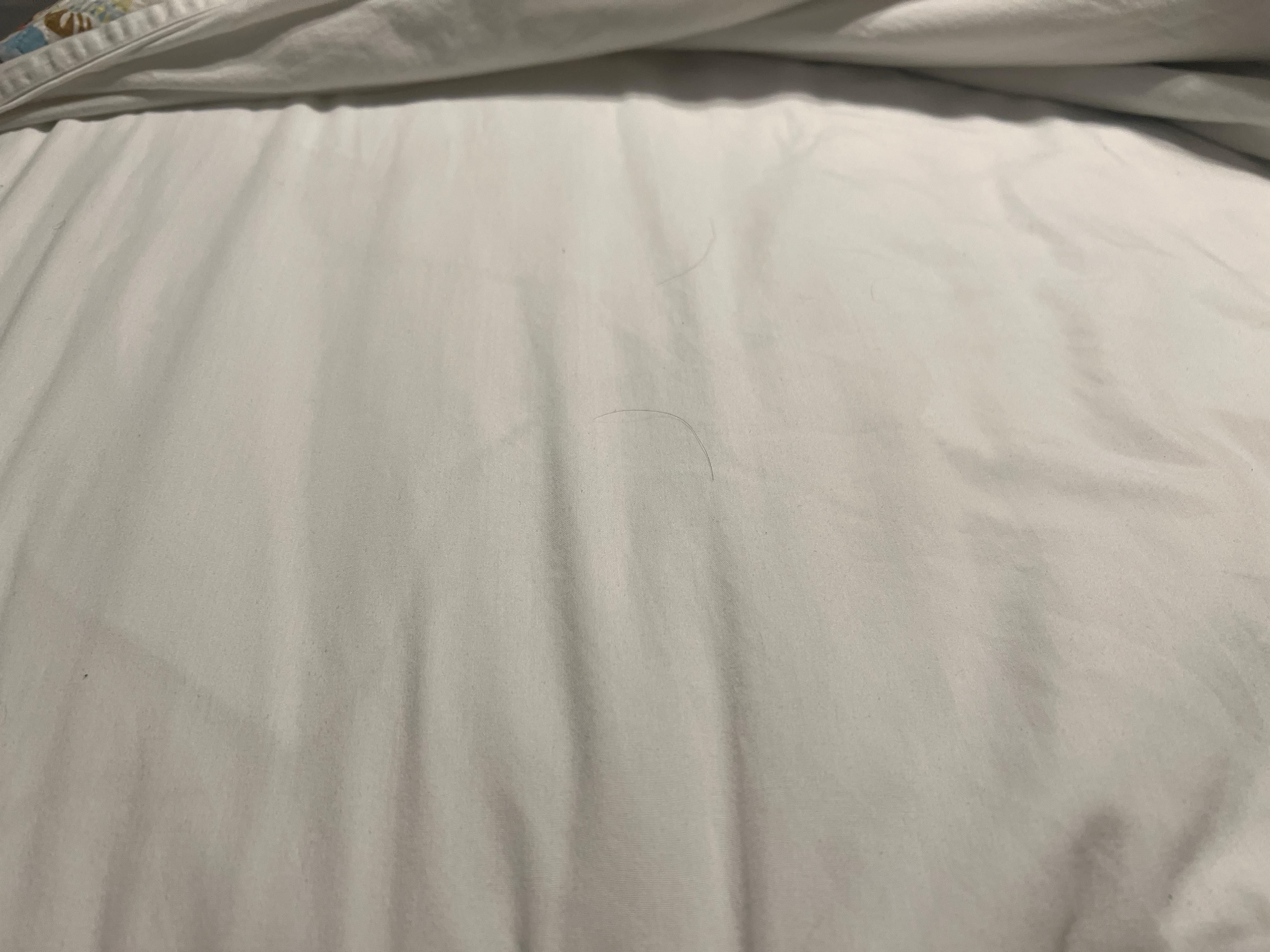 Hair on sheets 