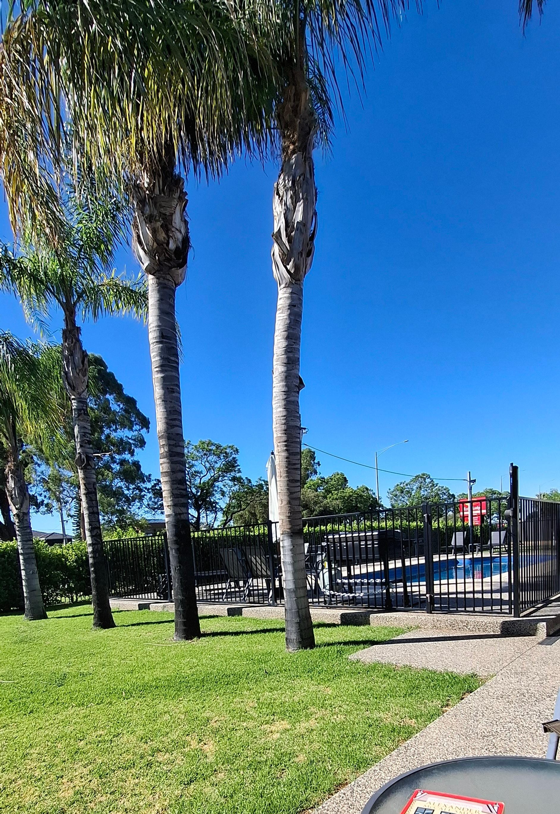 Outlook from king studio room.