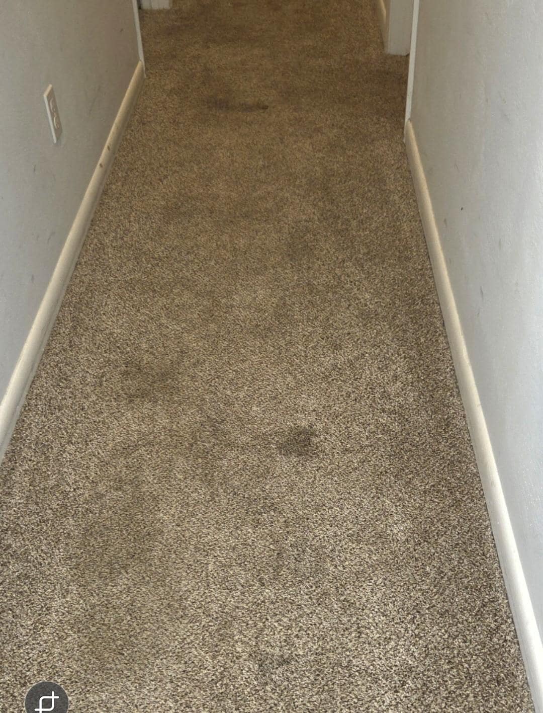 Hallway Carpet