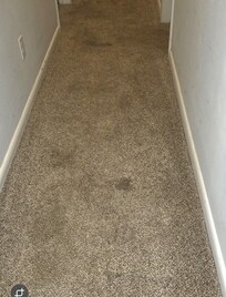 Hallway Carpet