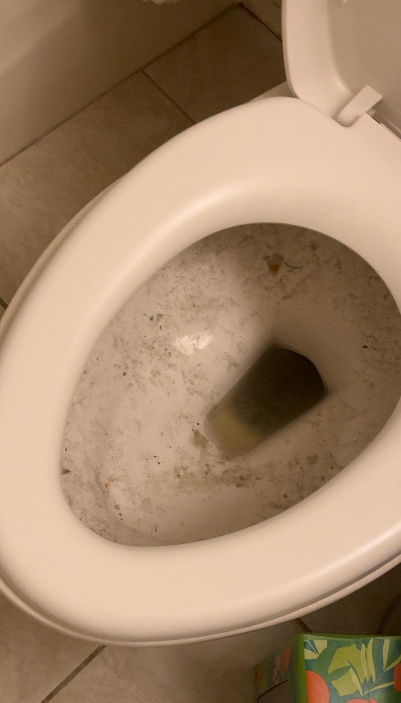 Toilet that had backed up and overflowed according to previous guest. Visible feces. 