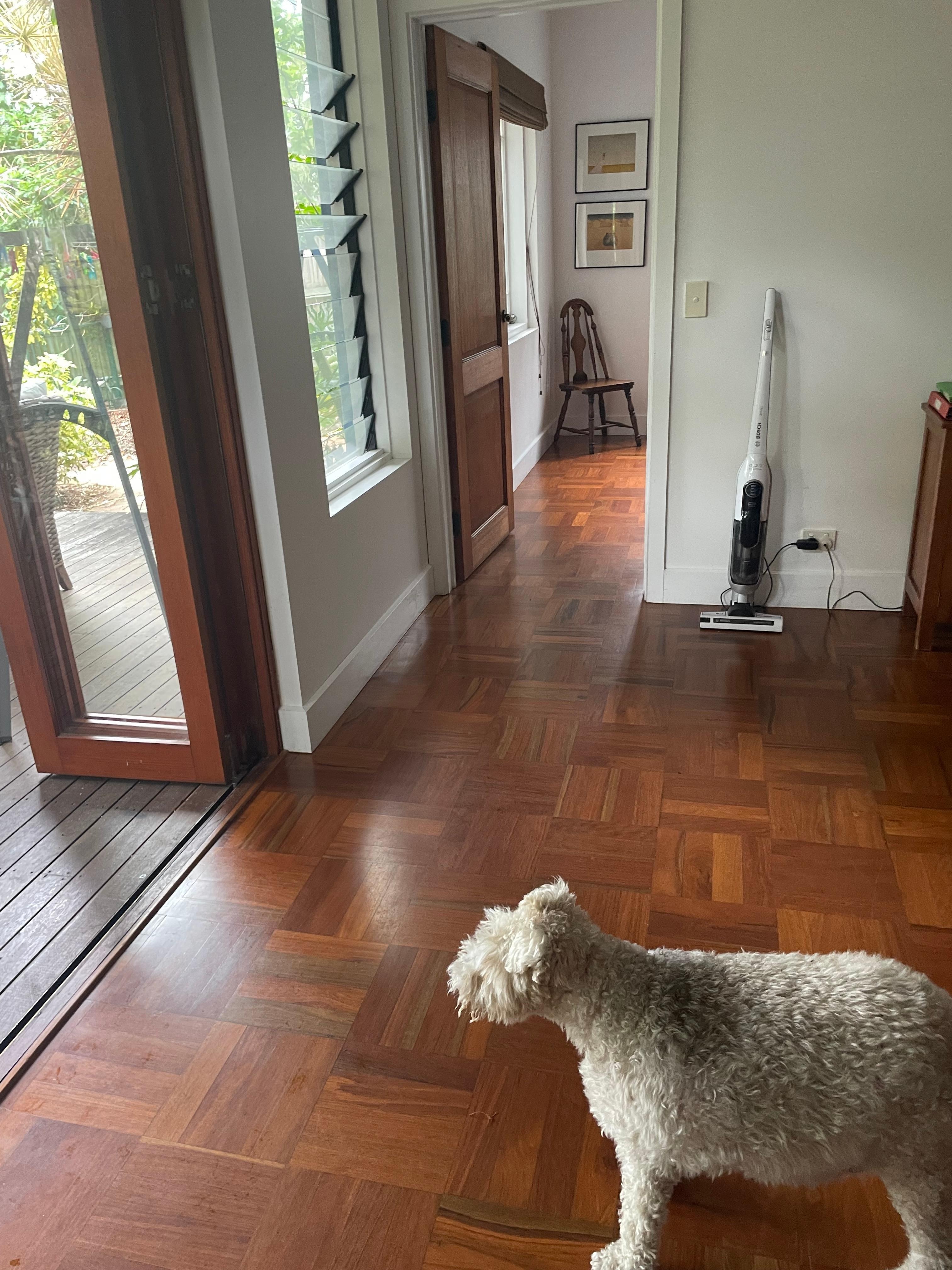 Bosley was settled and enjoyed the whole area with us and loved the garden and cool veranda.