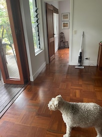 Bosley was settled and enjoyed the whole area with us and loved the garden and cool veranda.