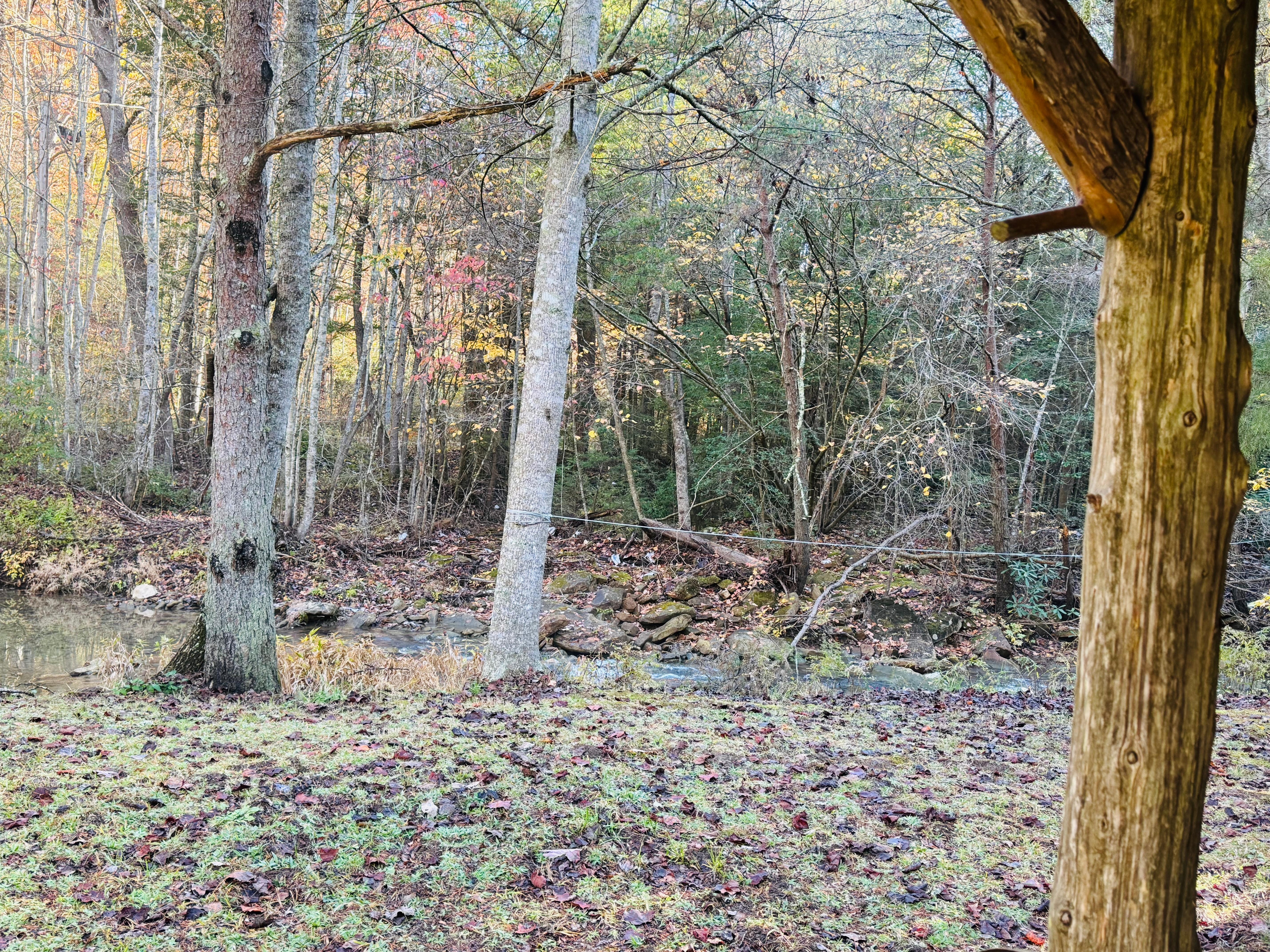 Coffee on the porch, enjoying the creek