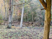 Coffee on the porch, enjoying the creek