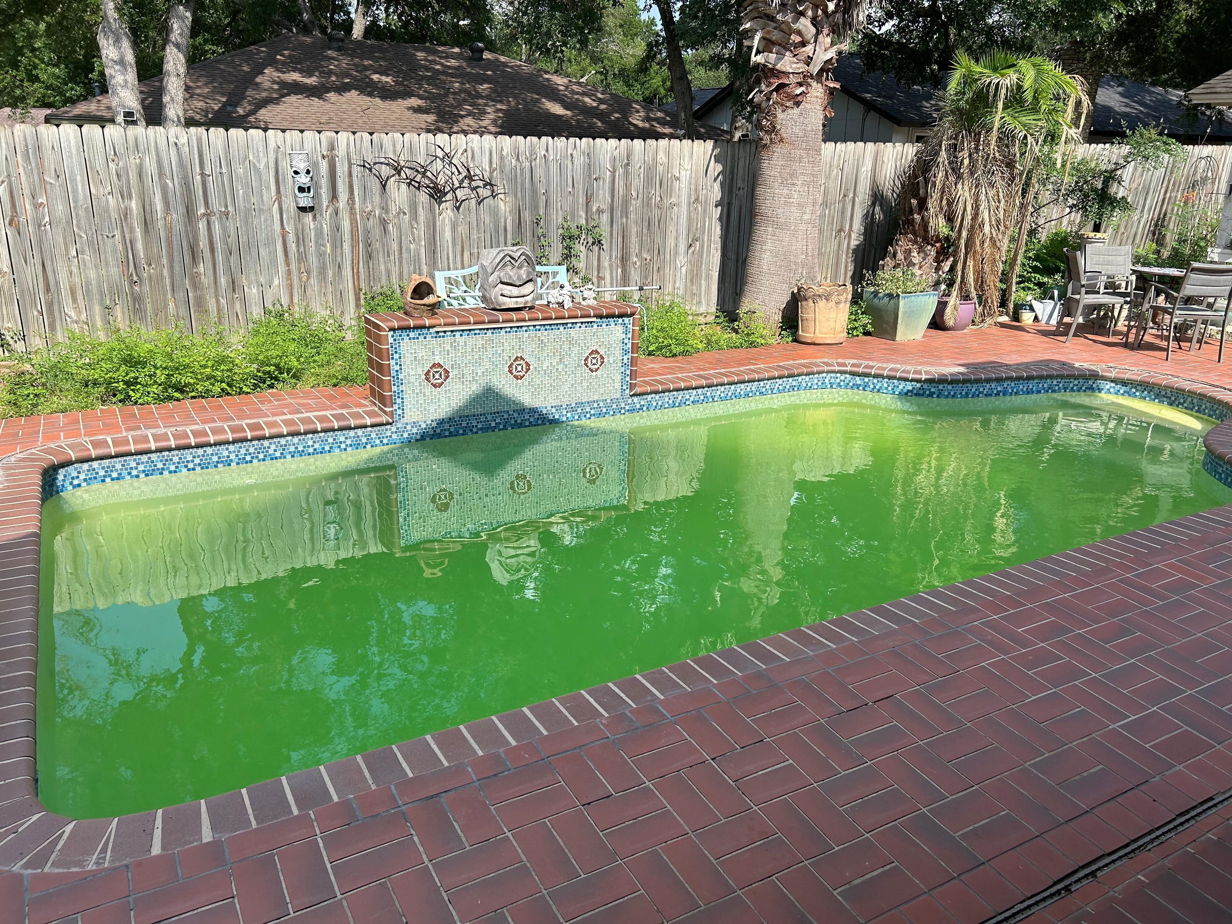 Pool was cloudy and very green upon check-in