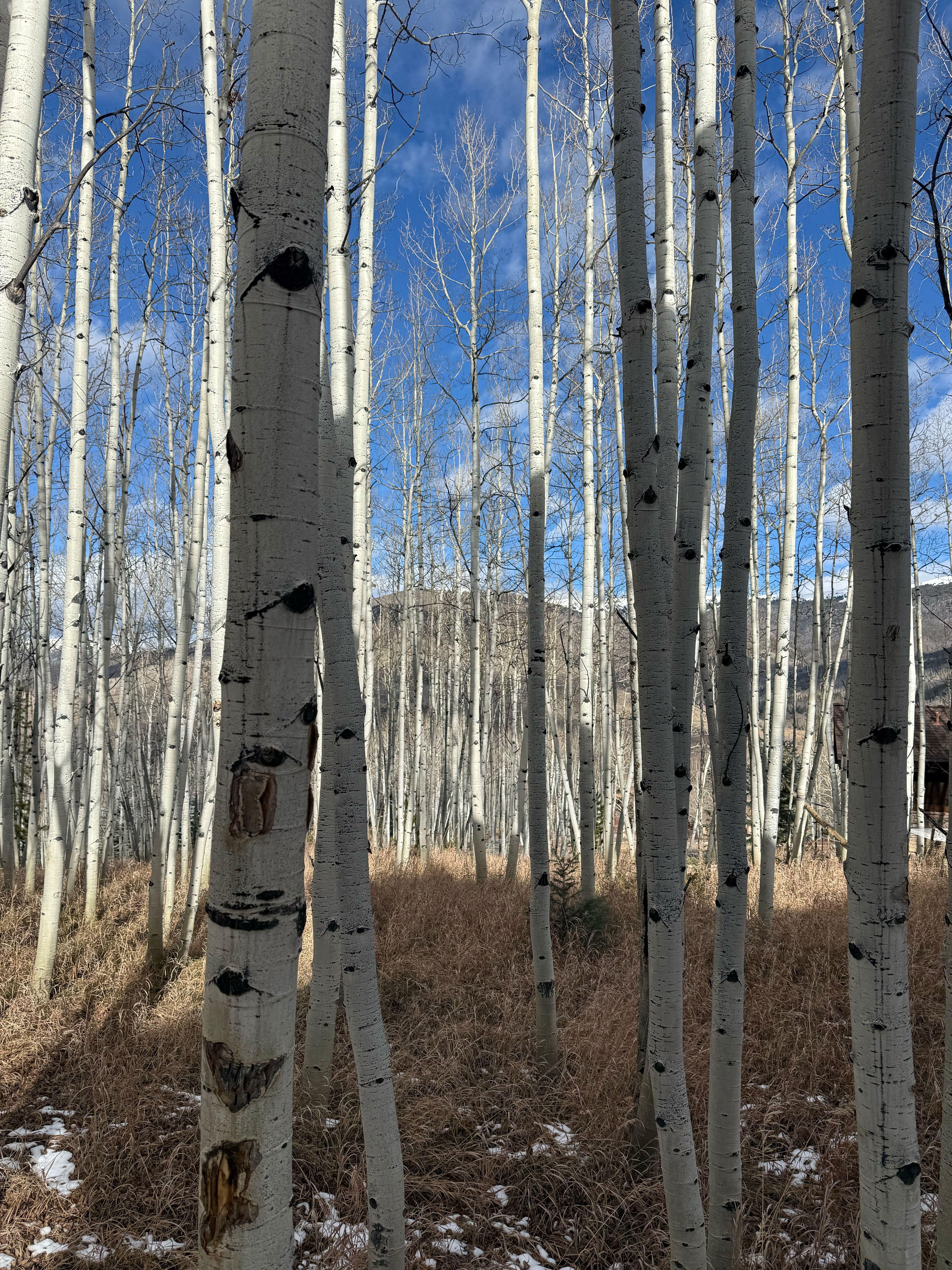 Views around the property