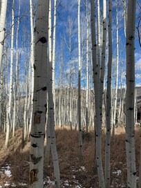 Views around the property