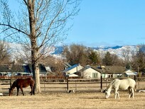Horses eating breakfast in the pasture with National Monument in background
