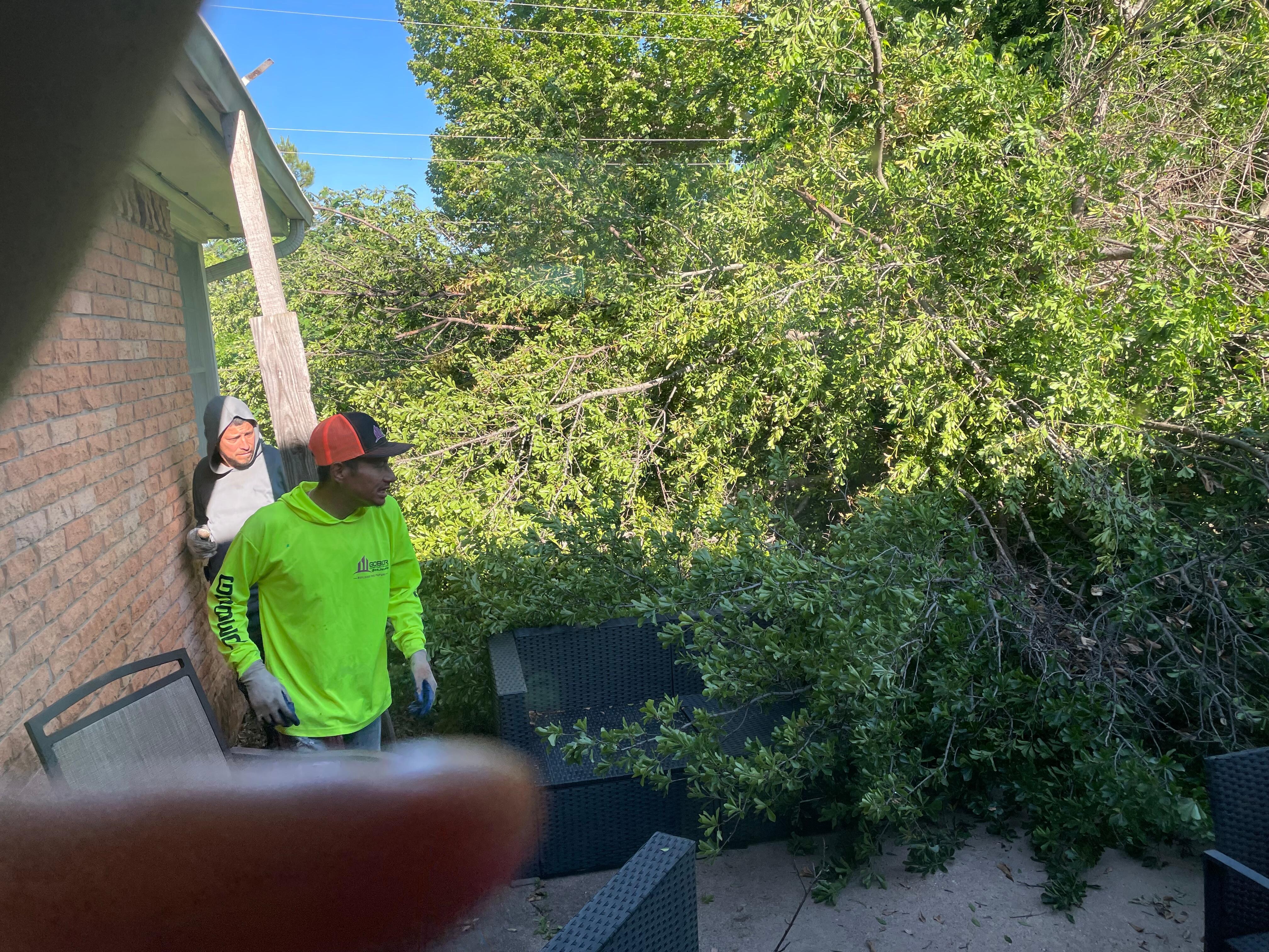 workers with a felled tree. old piece of wood holding up gutter.