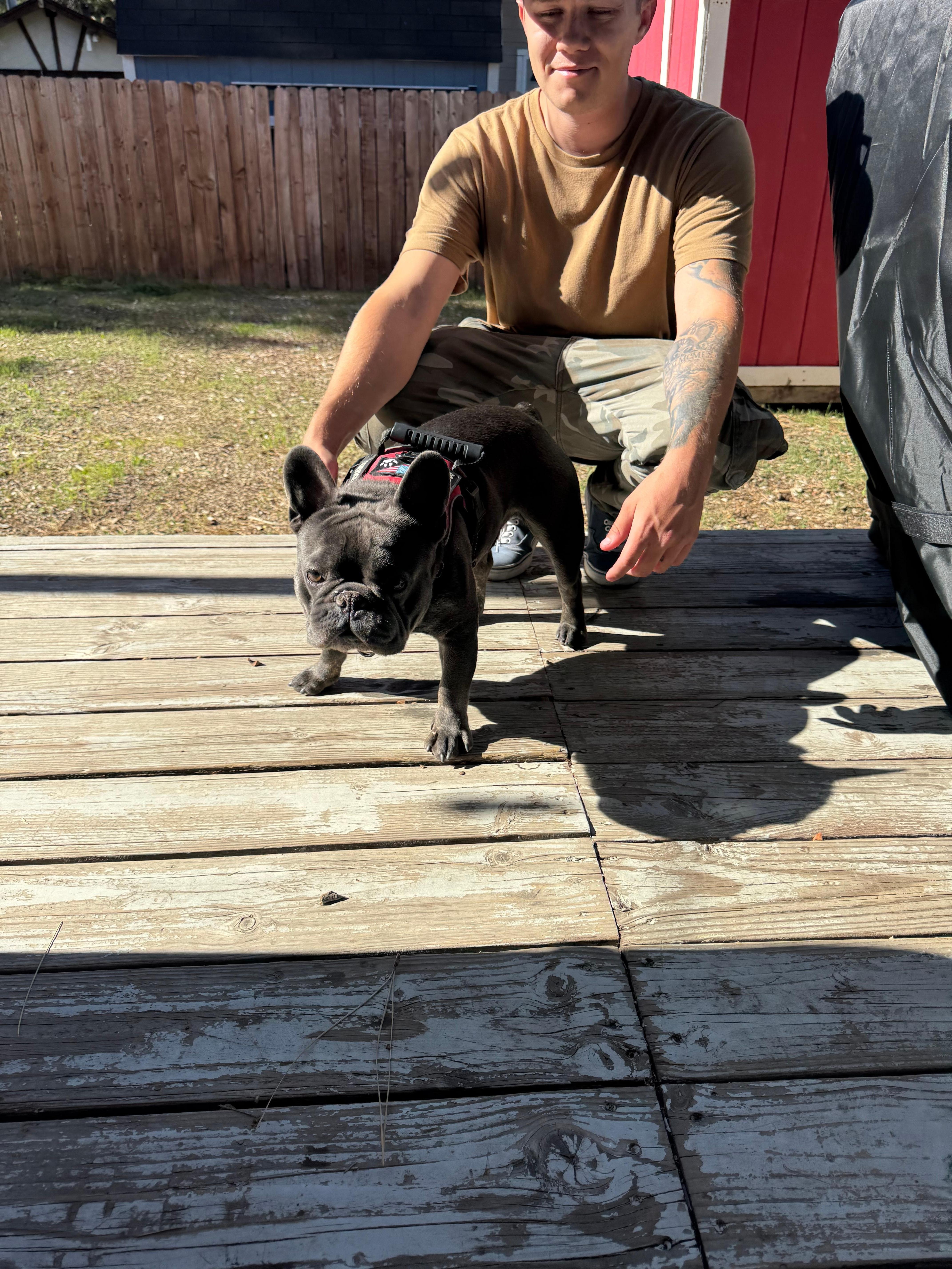 Our dog Gunner loved the doggie door access to go in and out of the house. 