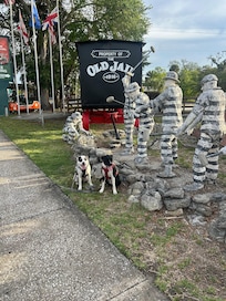 Sadie Lee & Maggie Mae placed on the chain gang.