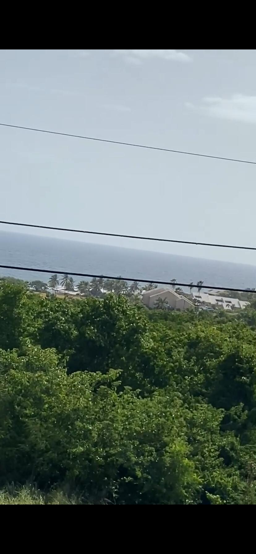 Ocean views all day long. 