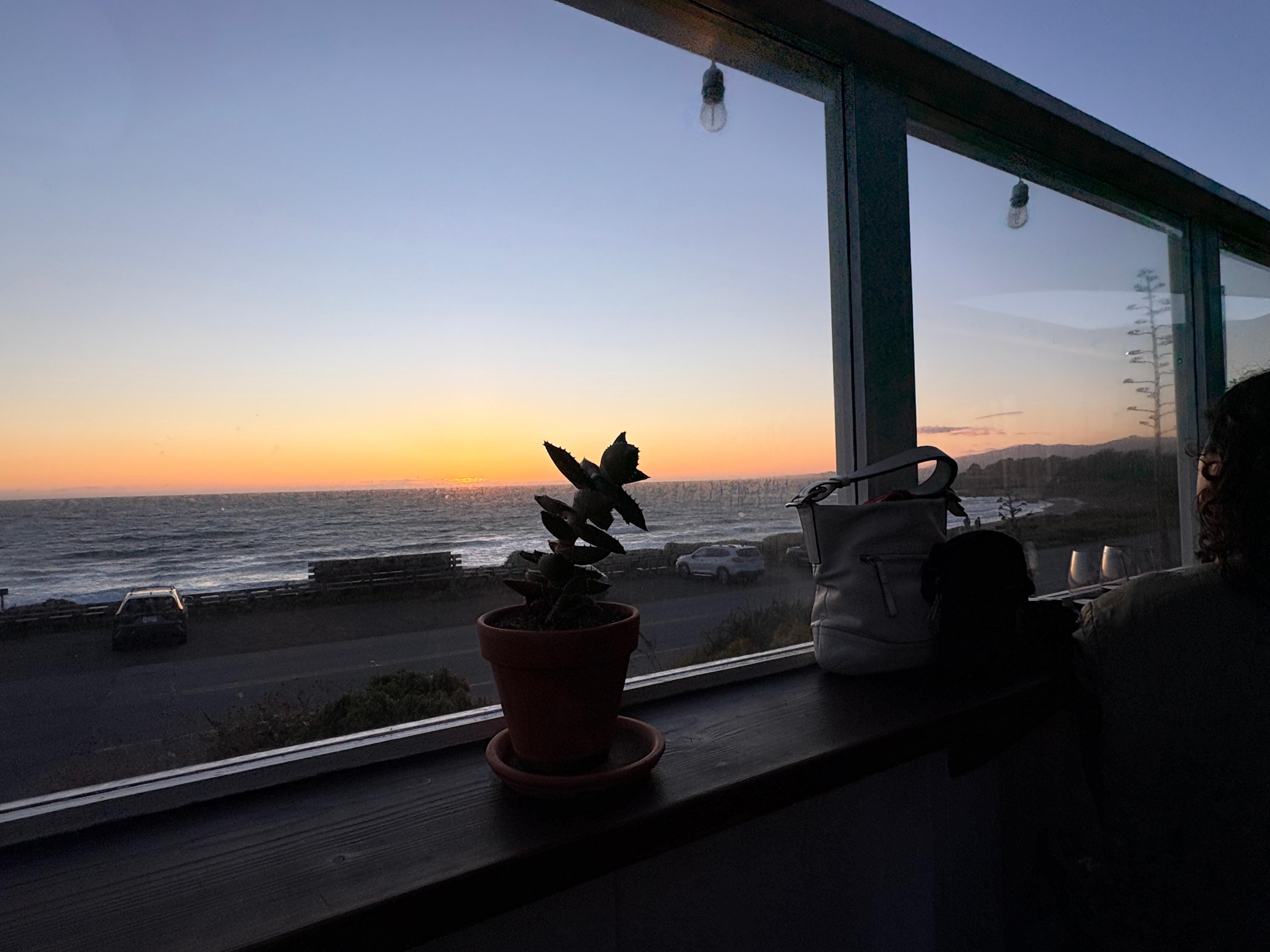 Our Sweet Max loved our view from his window seat!