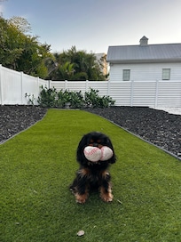 Great yard for our dog
