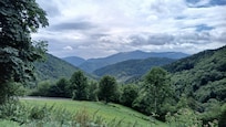 Omgeving