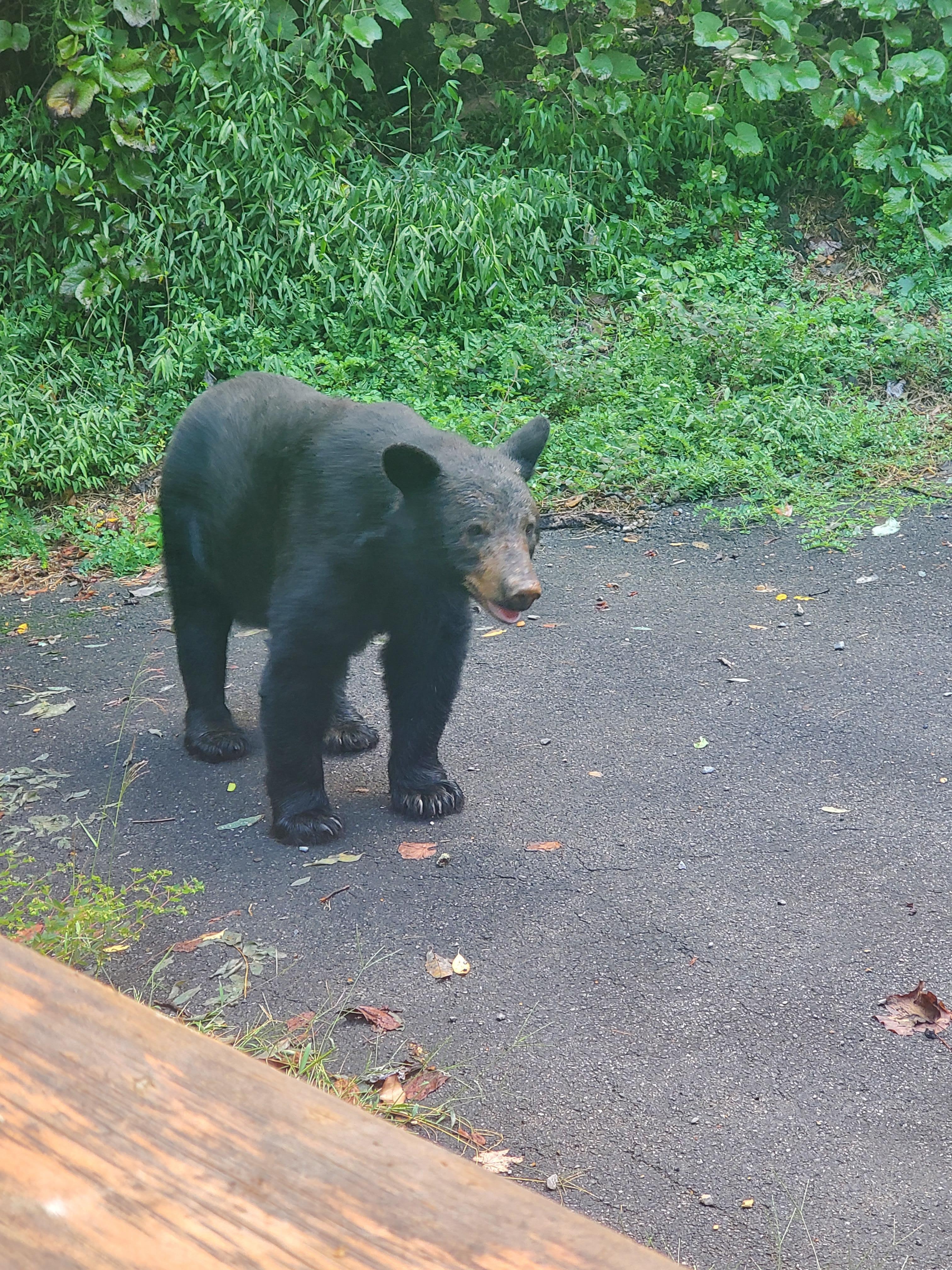Friday morning send off