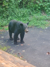 Friday morning send off