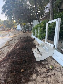 Seaweed right up to the stairs.