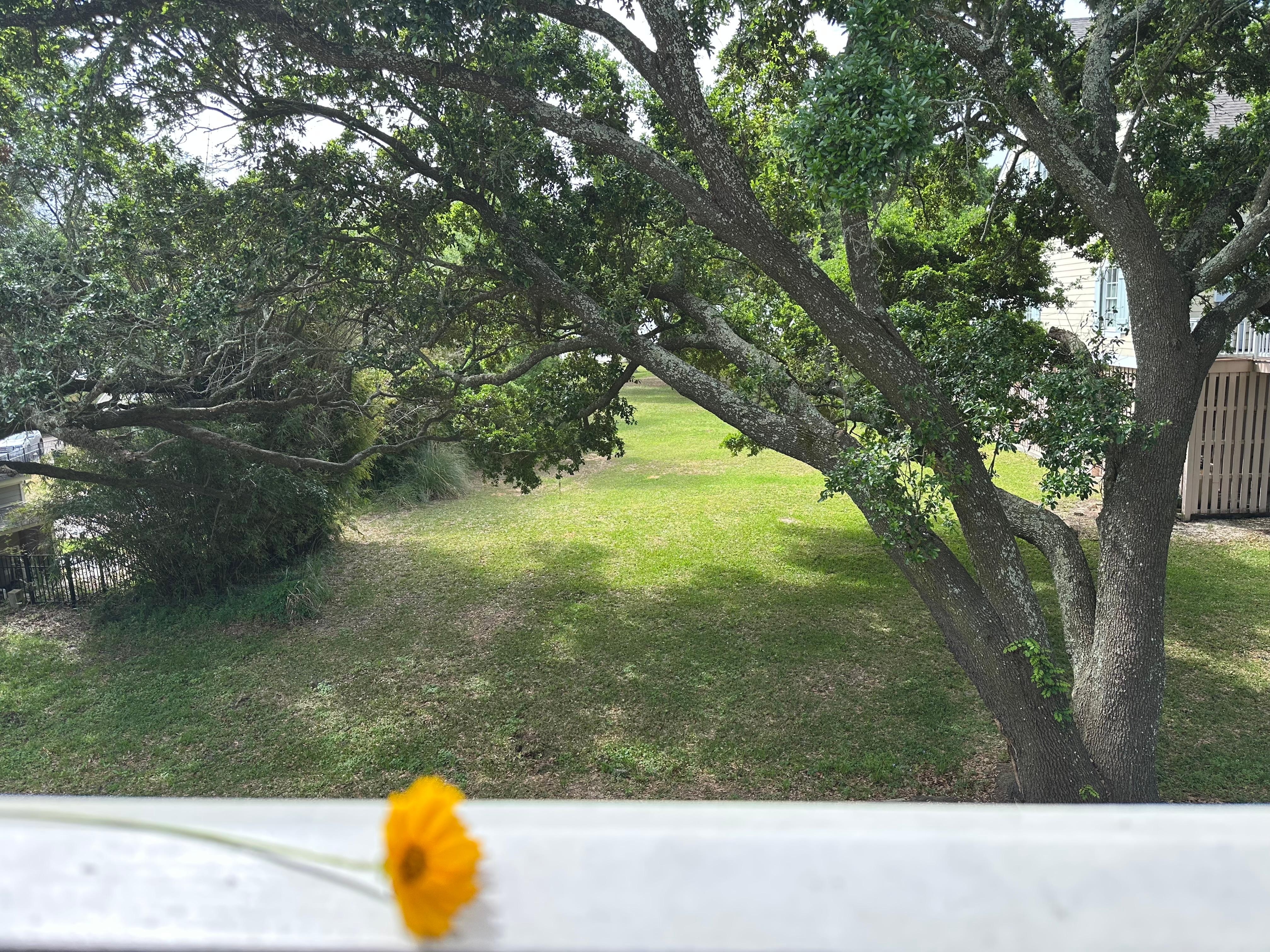 2nd floor view, bird and squirrel watching was awesome