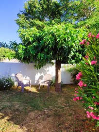 Un petit coin de paradis