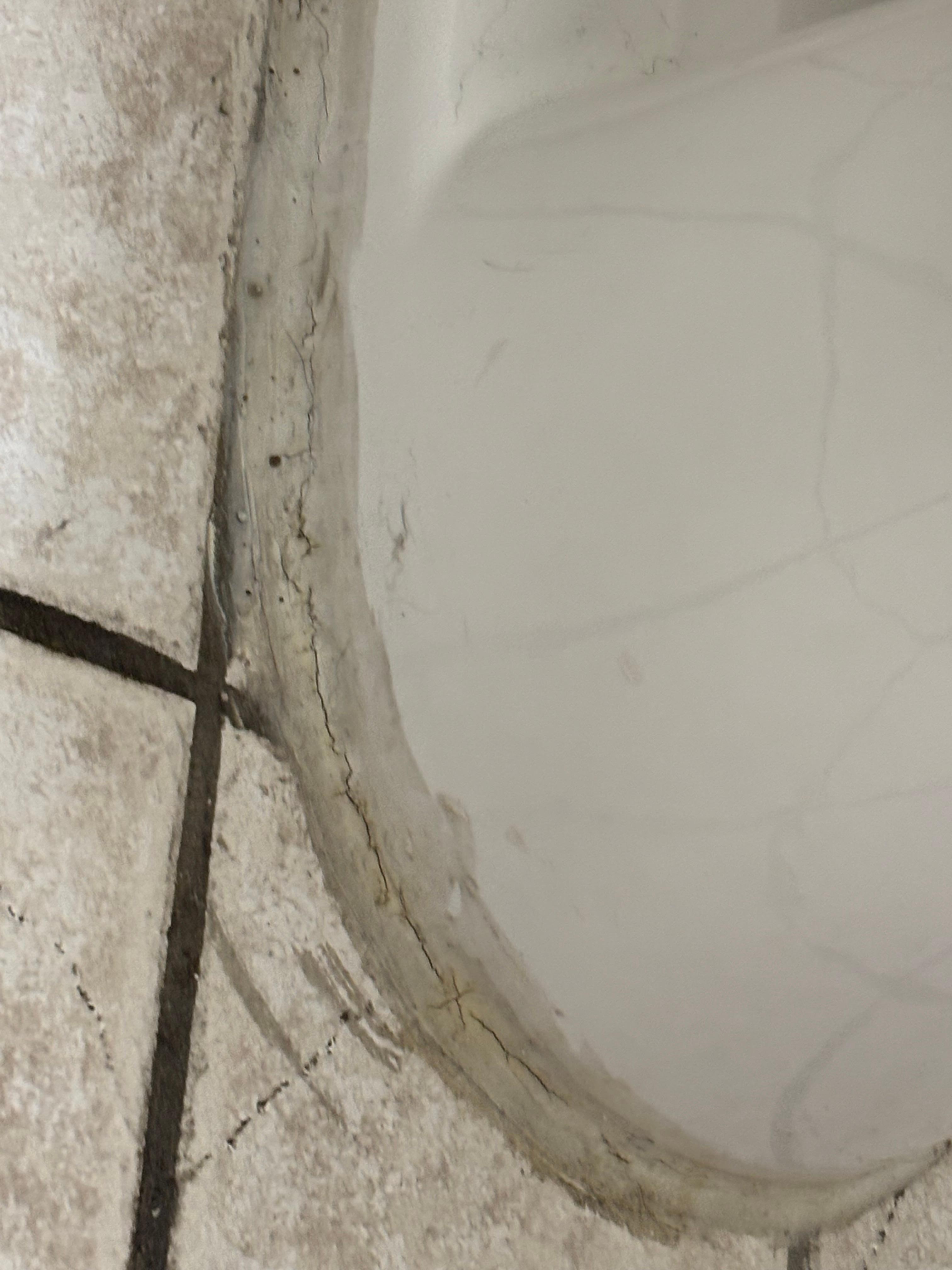 Disgusting grout around the toilet and floors