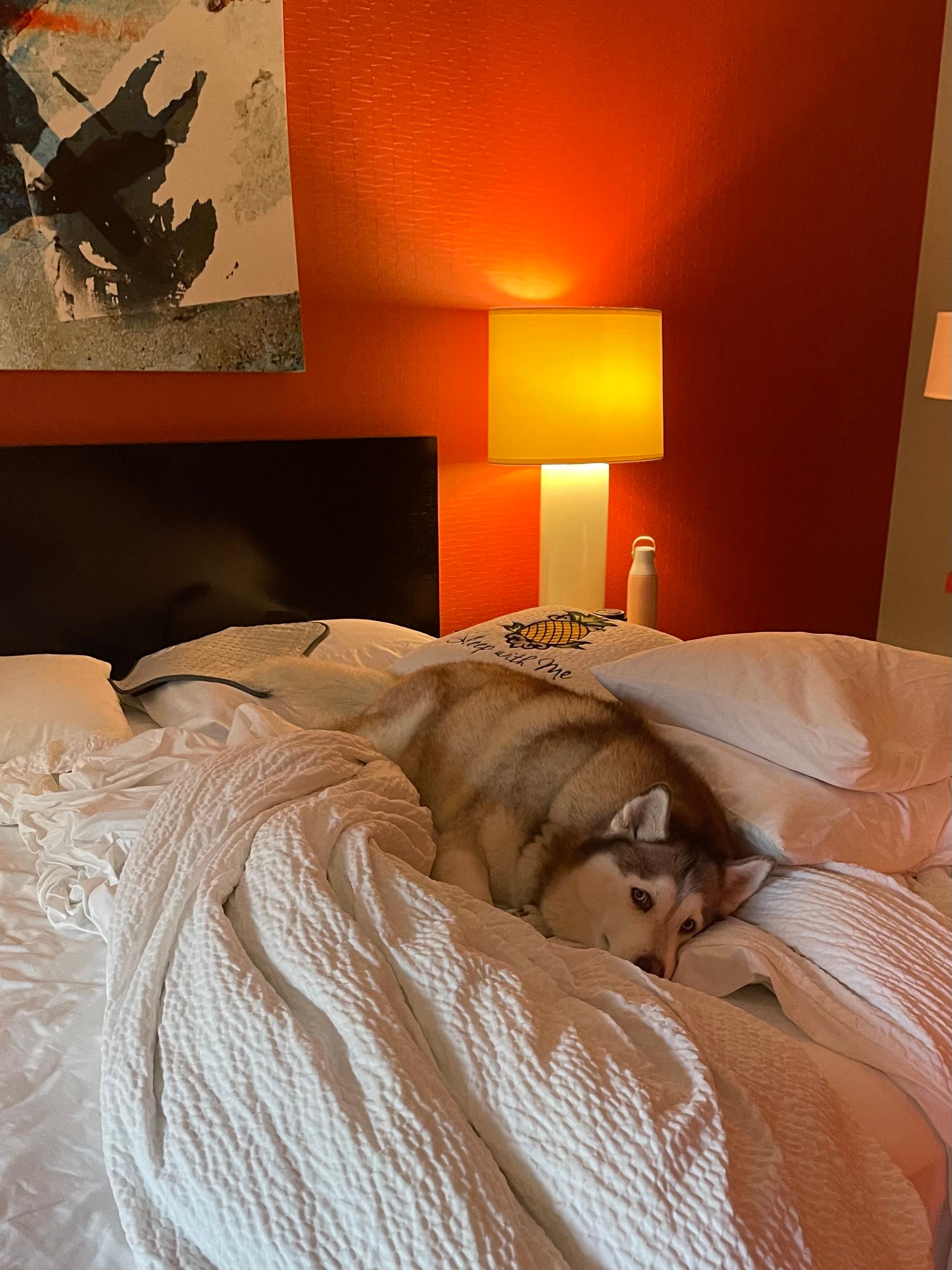 Our girl loved the hotel, staff, room, and especially the bedding. 