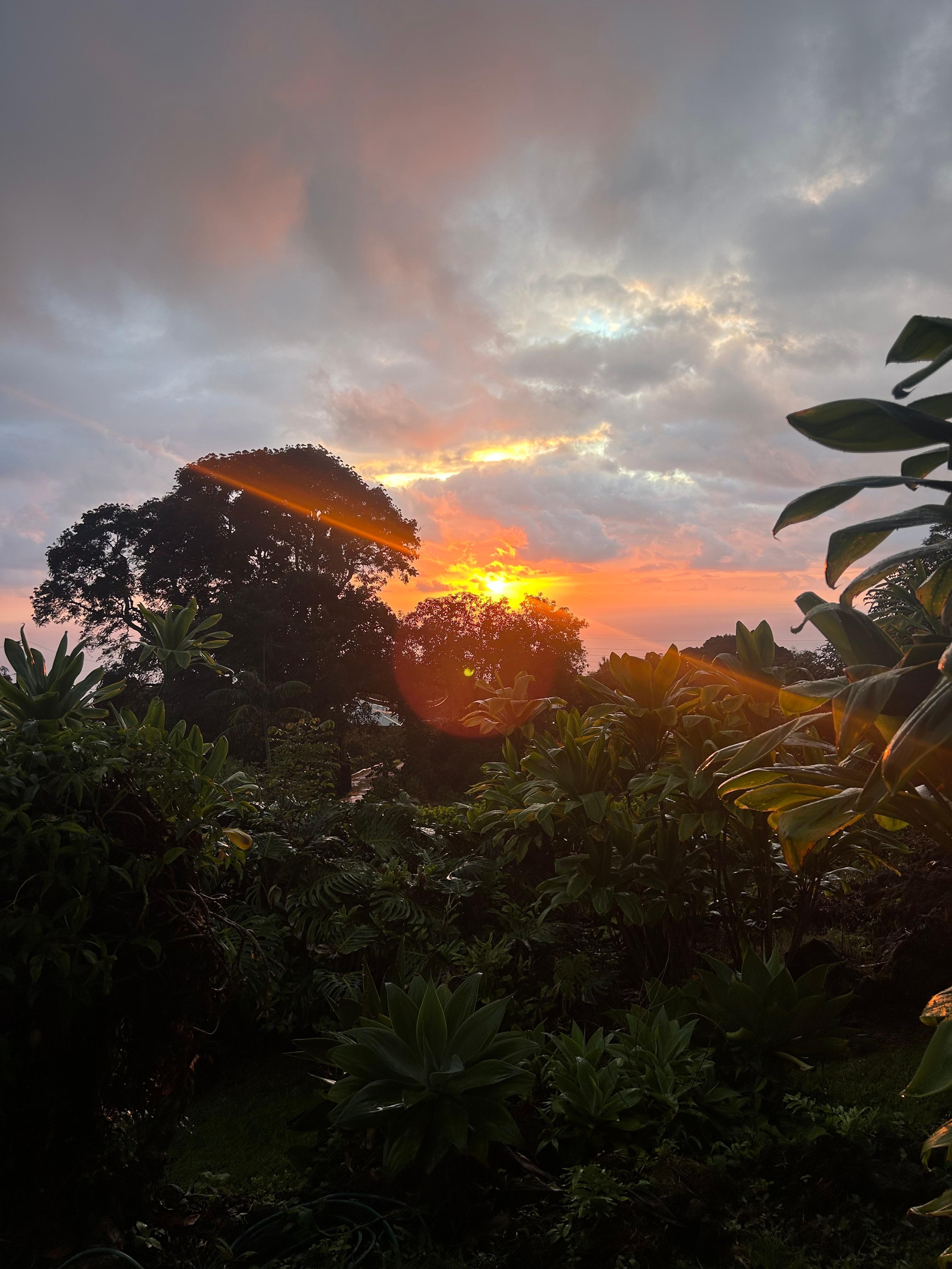 The sunsets were stunning 