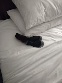 gross, my kid actually picked these up to show me , these were between the pillows ( they were stacked in a line like (III)not (_ _ _) you get the picture