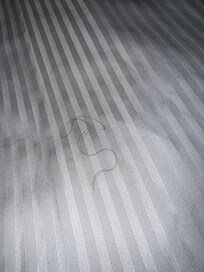 Hair on the corner of the bed when we first entered.