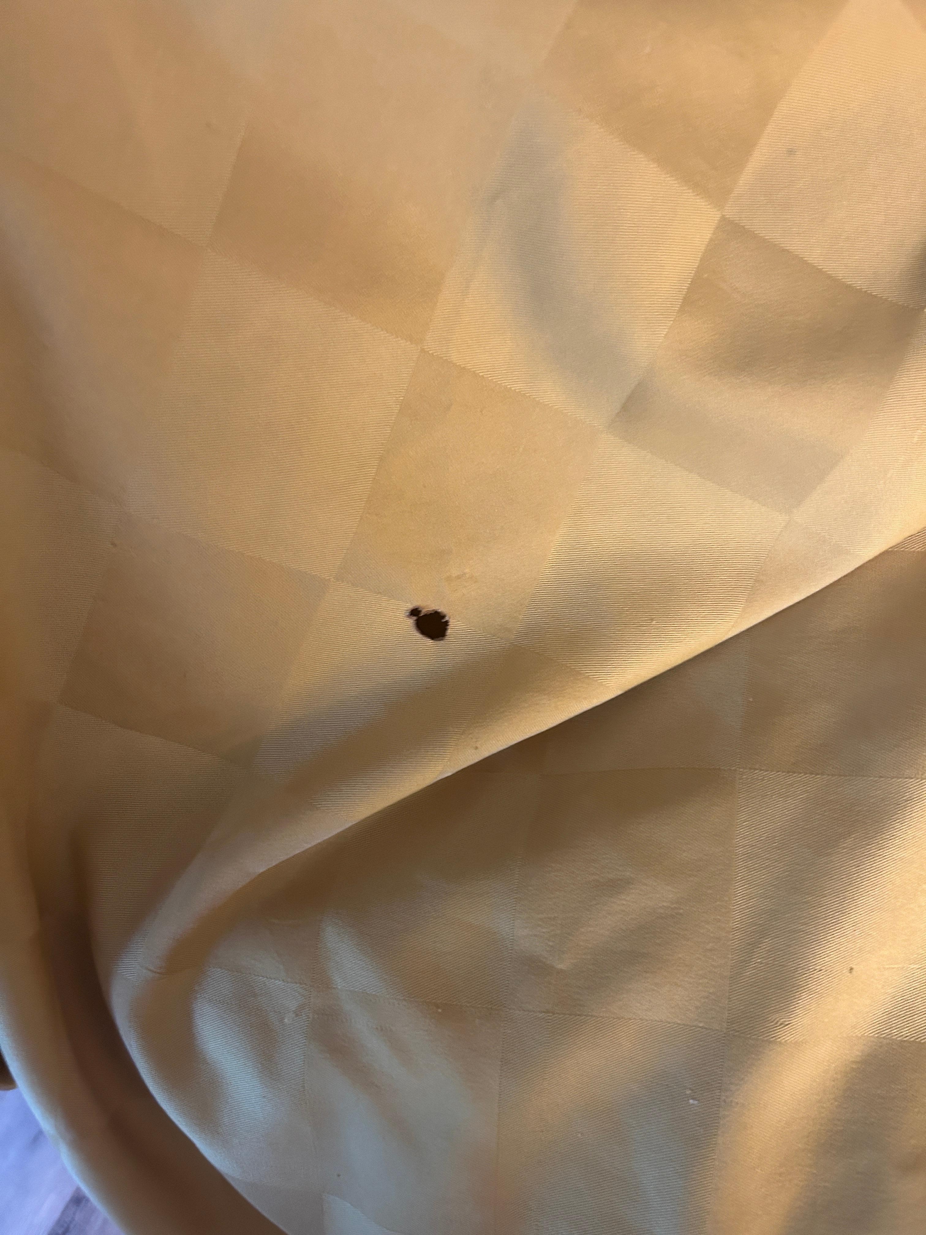 cigarette burns in bedding