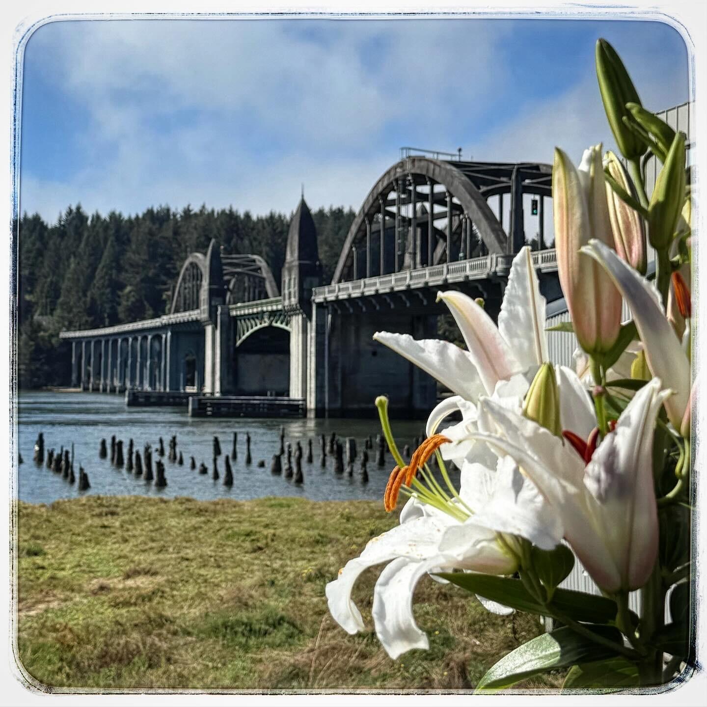 At the coffee shop in old town. Sitting outside.