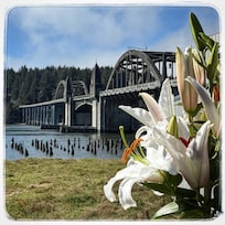 At the coffee shop in old town. Sitting outside.