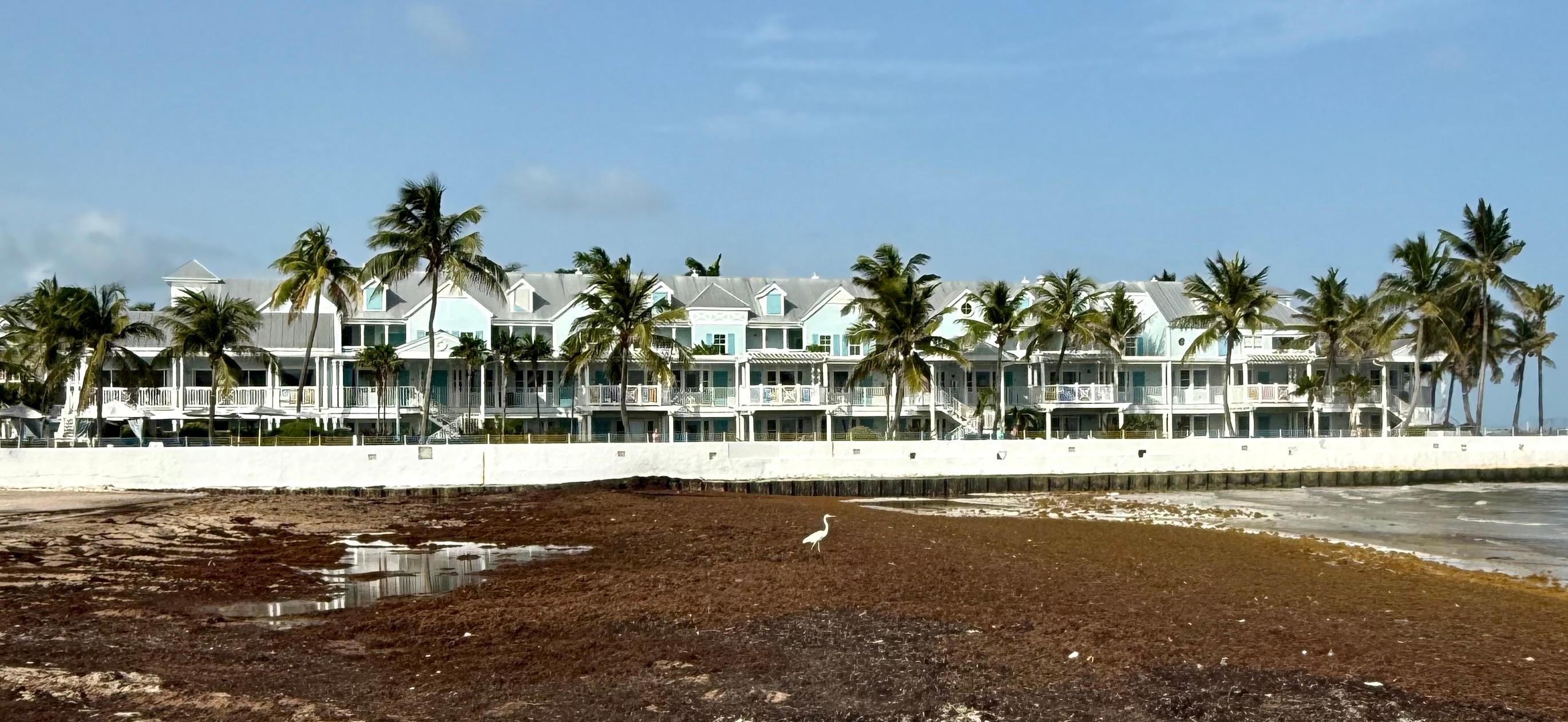 This is the photo you see when you book. The beach is full of seaweed. 