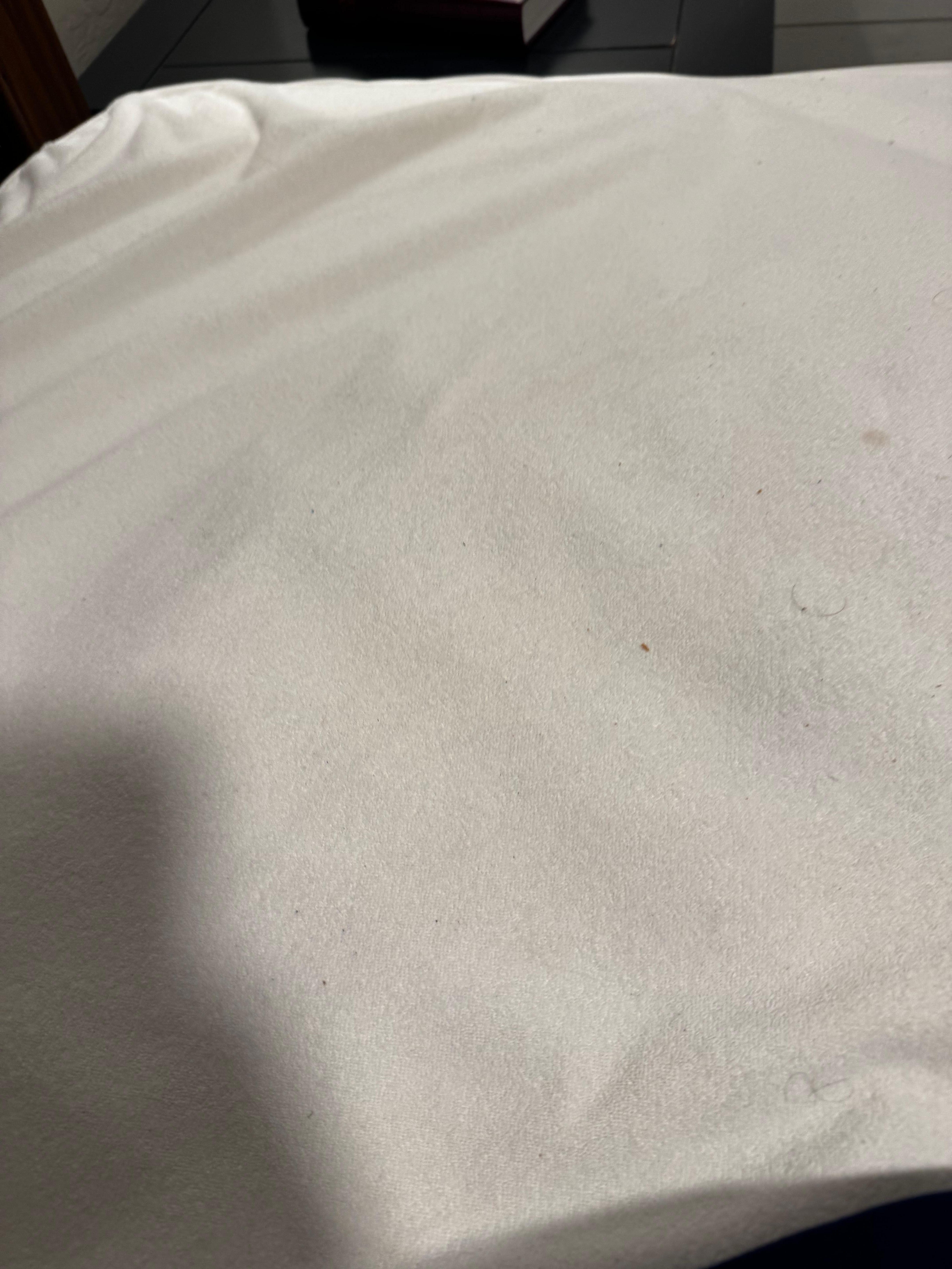 Bed covers with hair and dirt
