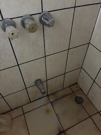 Douche
