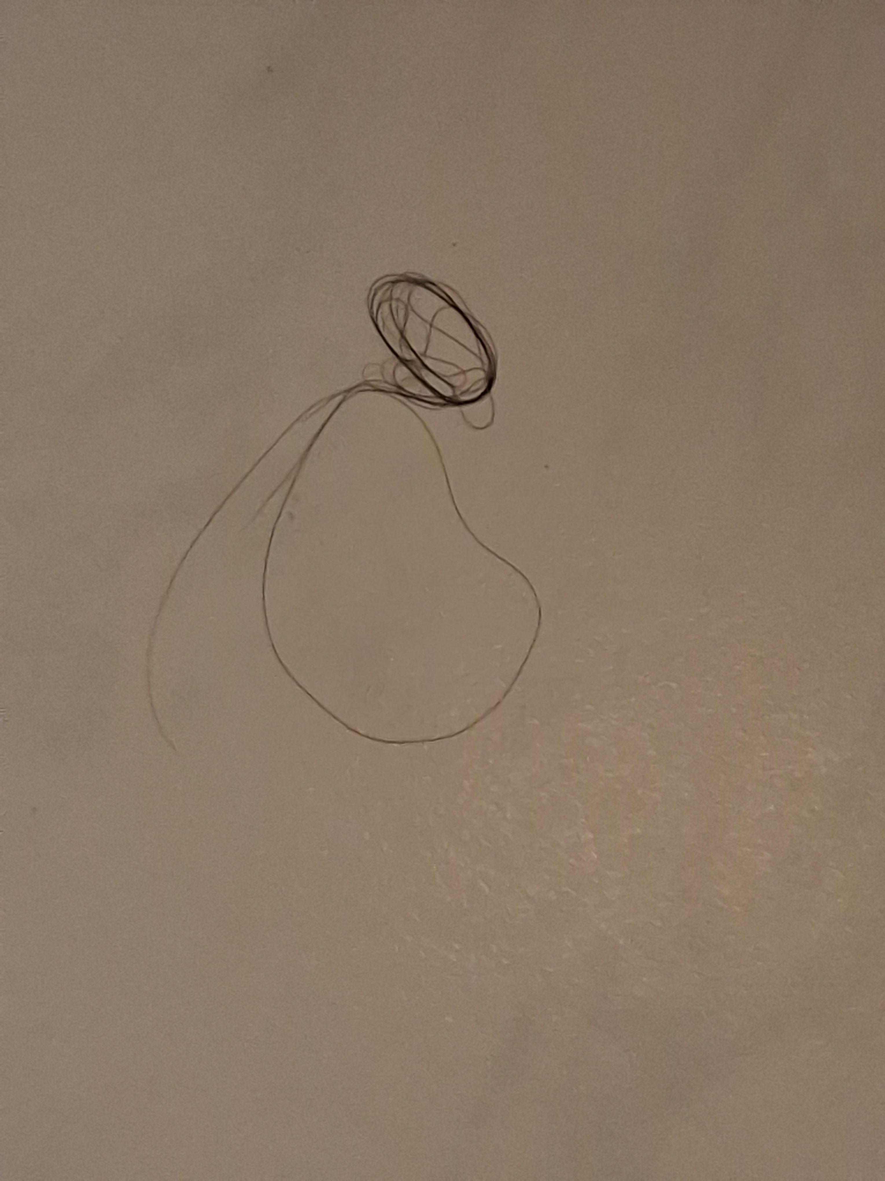 Hair found on shower wall