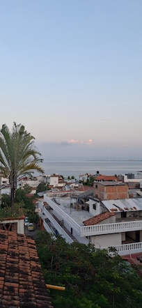 View from the dining area