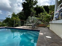 Some of the lush greenery