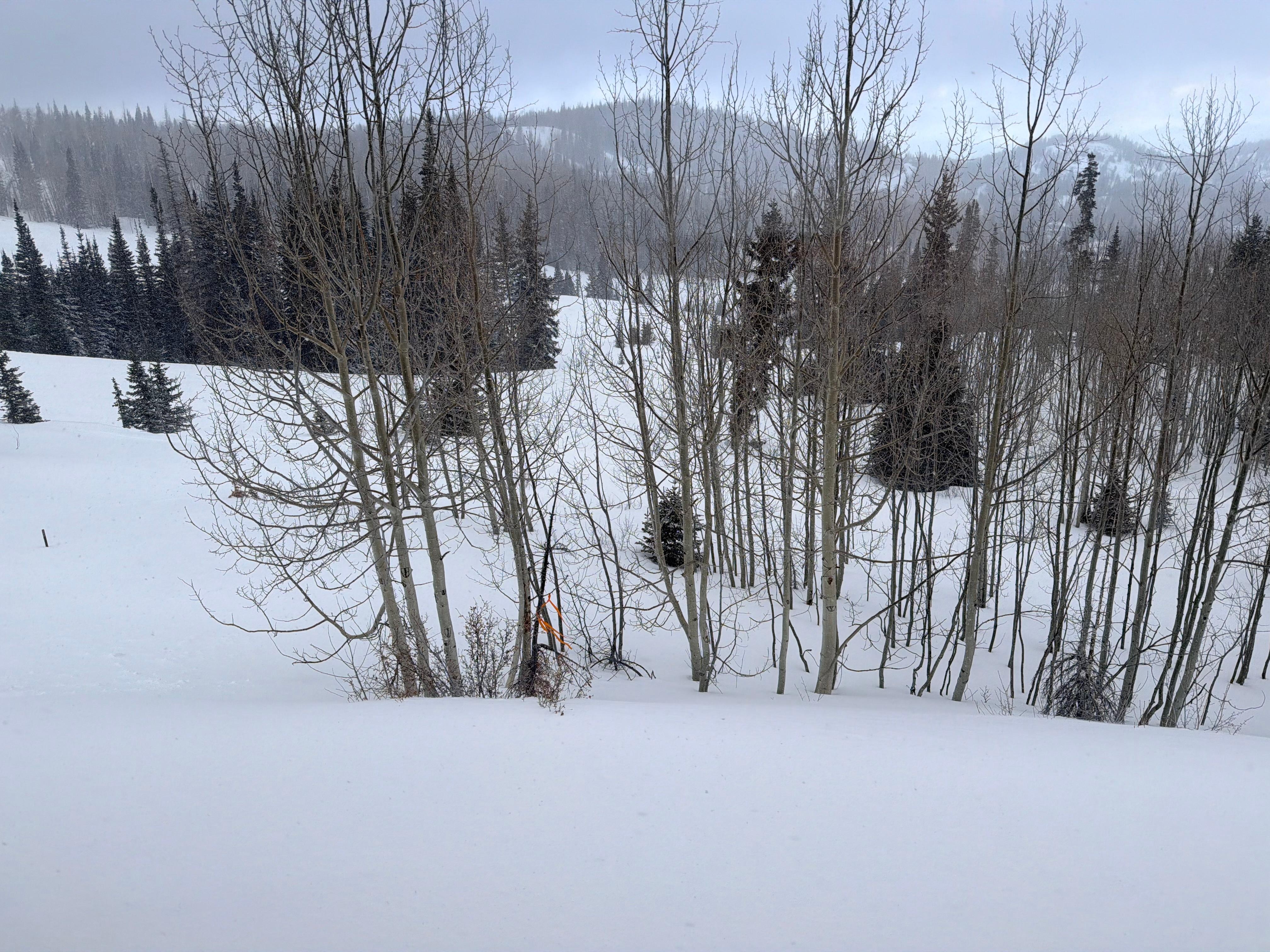  Beautiful views of Paradise Run