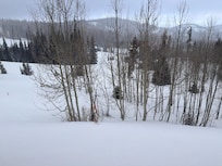 Beautiful views of Paradise Run