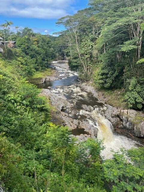 The beautiful view from the deck.