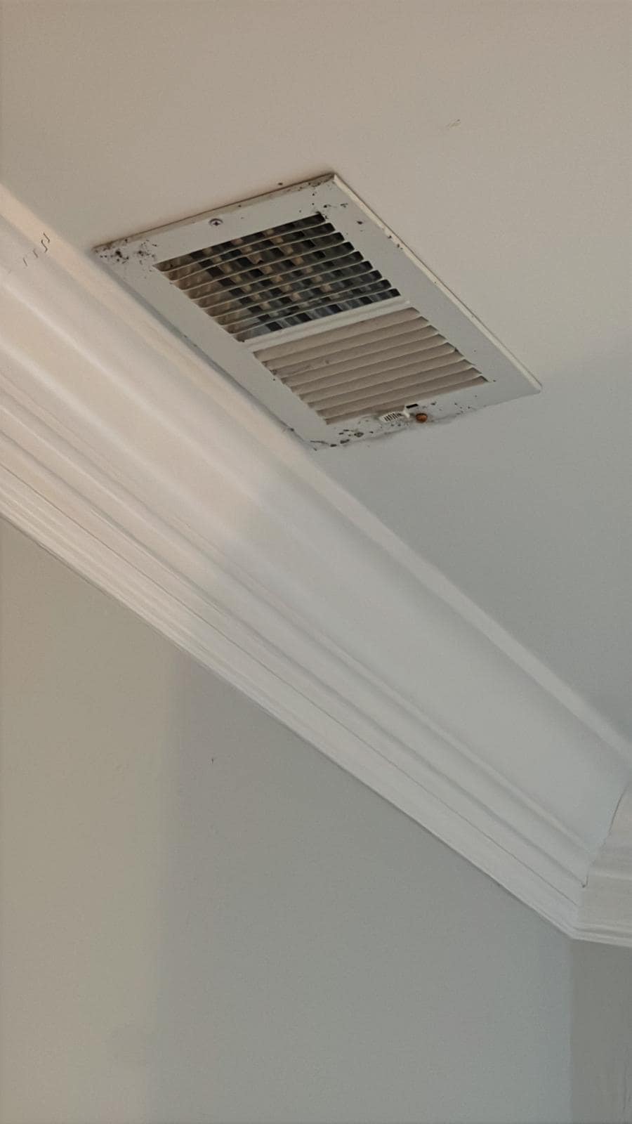 Black mould on the ac vent 