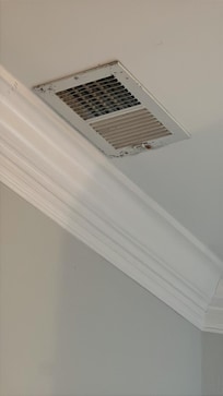 Black mould on the ac vent