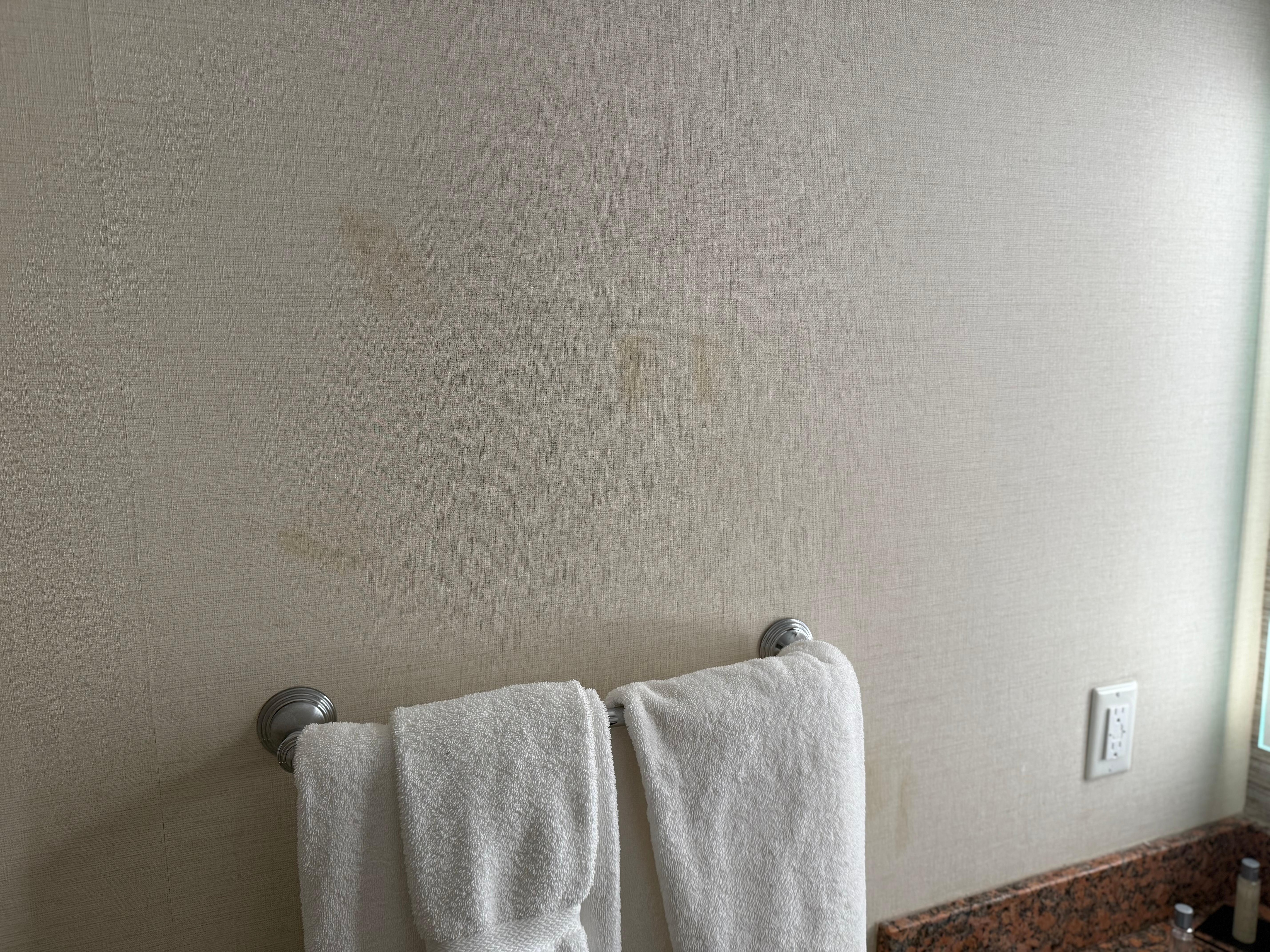 Stains on bathroom walls