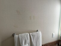 Stains on bathroom walls