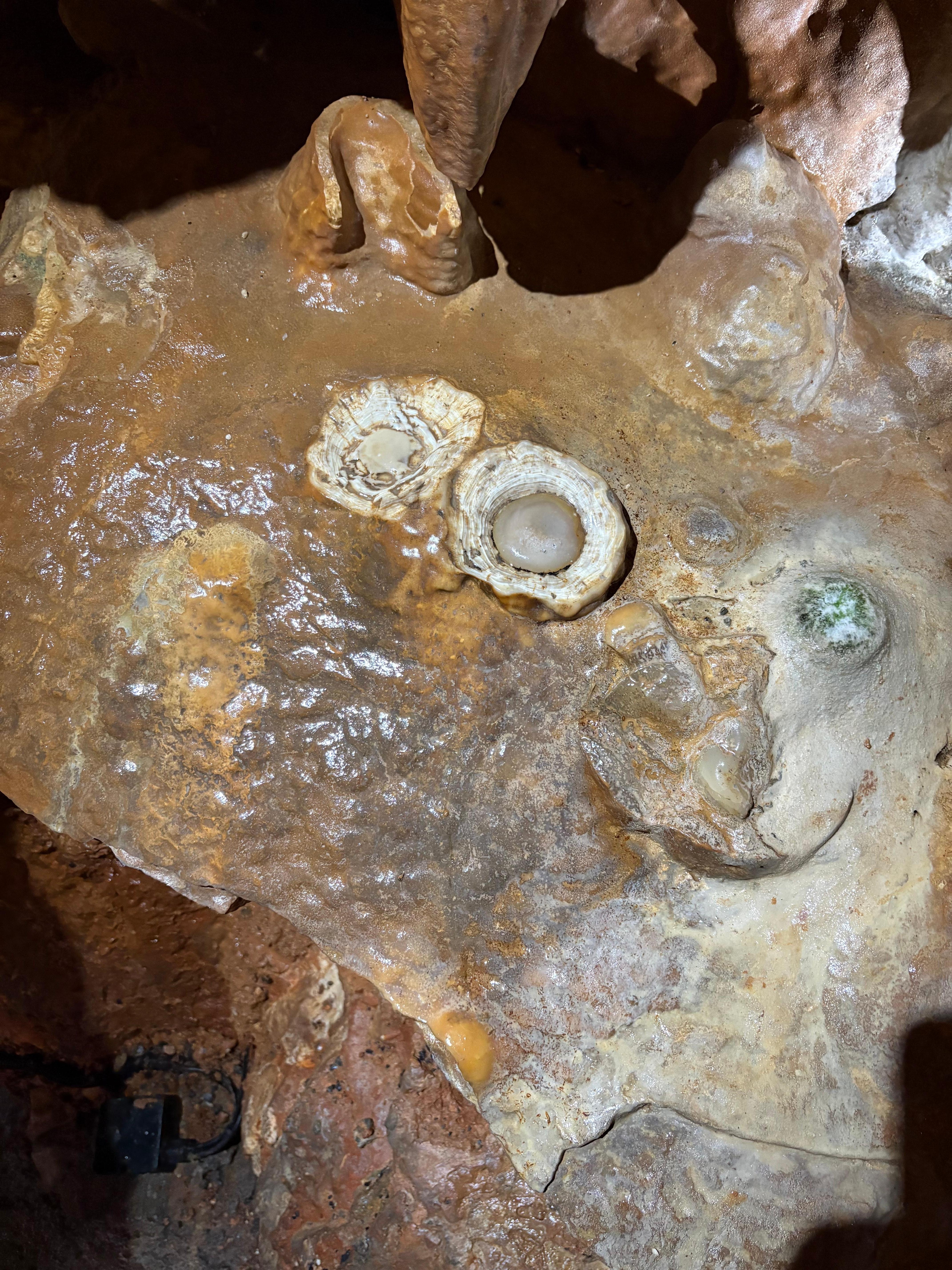 Luray Caverns, this  was a “fried egg”